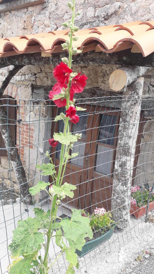 Bed and Breakfast Les Tremieres Saint-Paul-des-Fonts Exterior foto